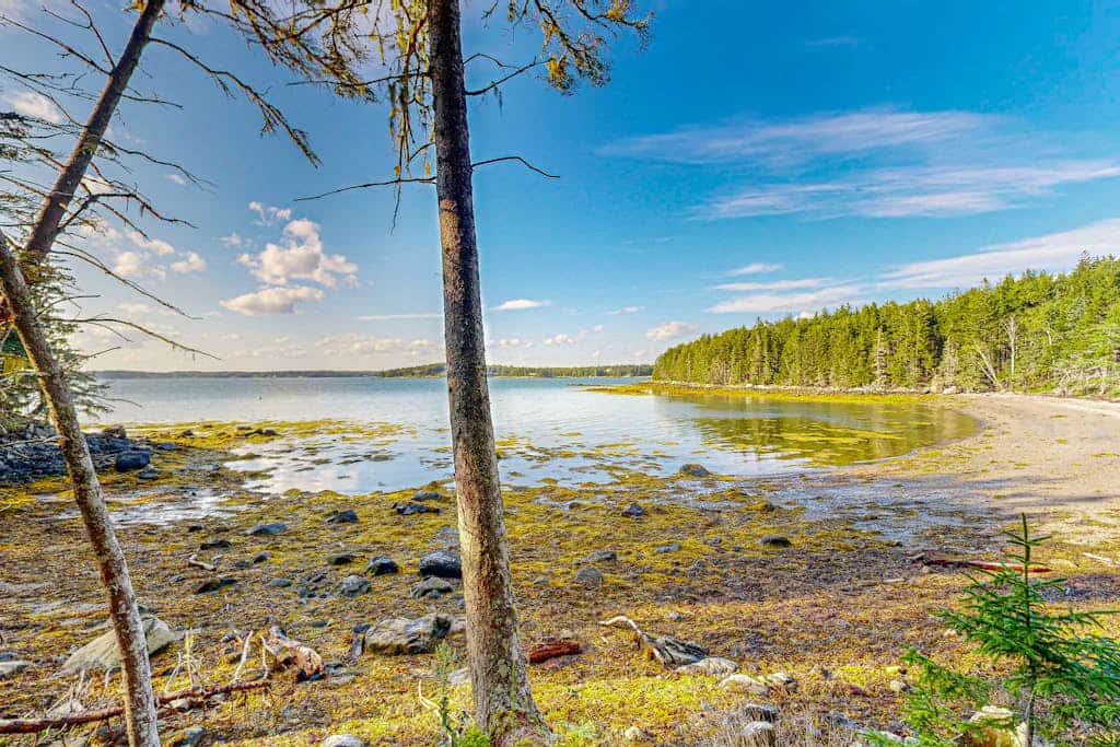 Open and spacious riverfront retreat, dog-friendly