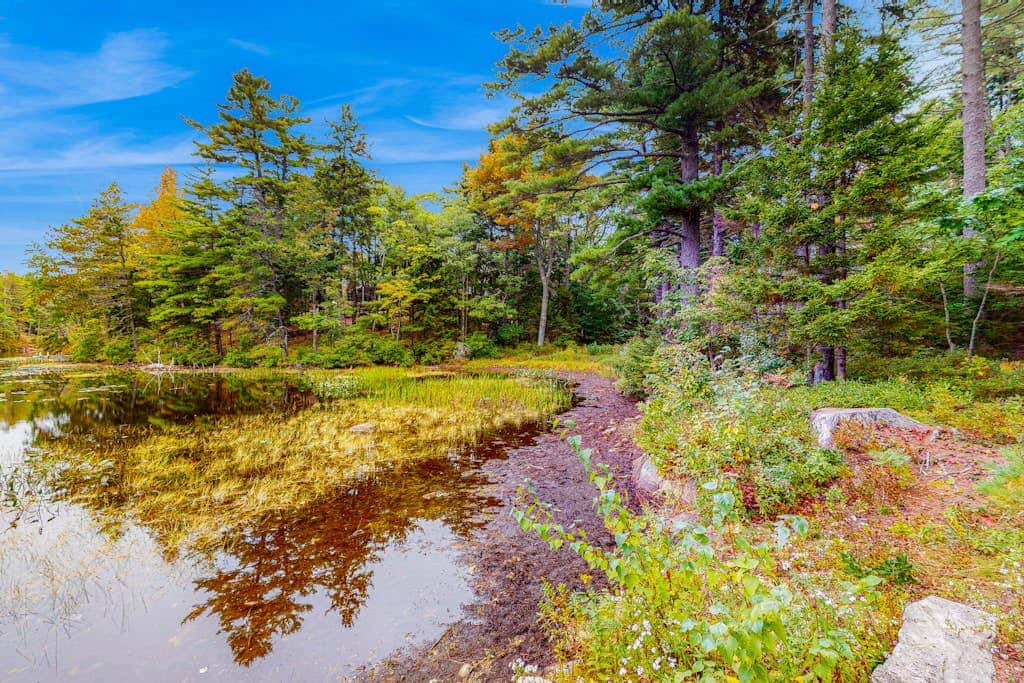 Appalachee Pond Waterfront Cottage
