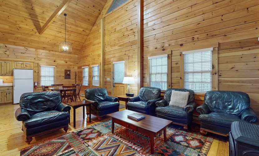 Bear Cub Cabin, dog-friendly with wooded views, full kitchen & firepit