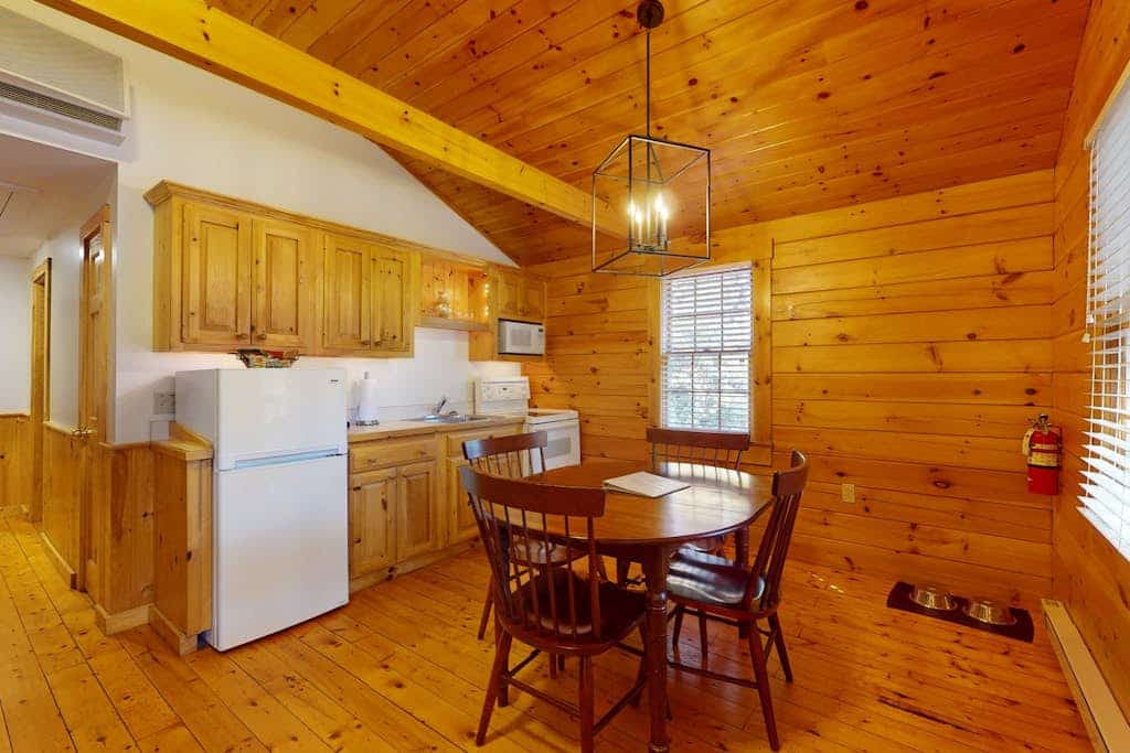 Comfort meets adventure in this dog-friendly cabin w/fireplace, kitchen & more