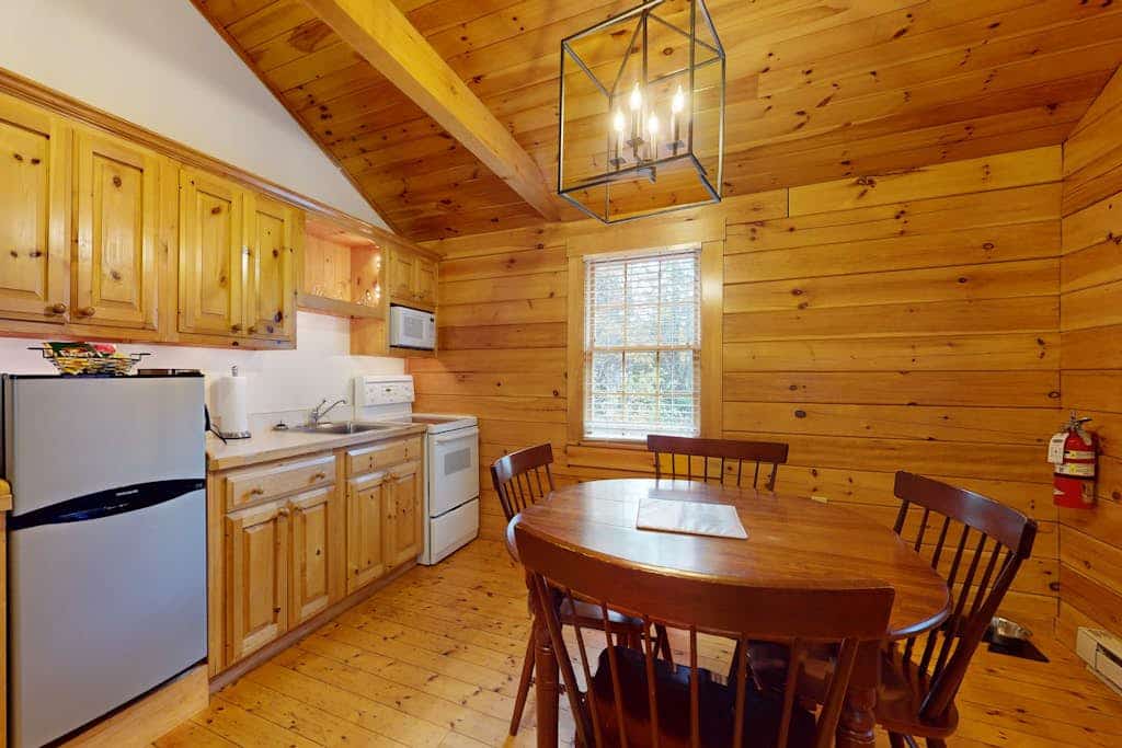 Alder Cabin, Dog-friendly with kitchen, firepit, A/C, gym, ping-pong & fun awaits