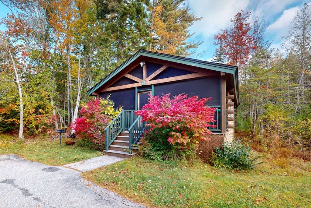 Alder Cabin, Dog-friendly with kitchen, firepit, A/C, gym, ping-pong & fun awaits