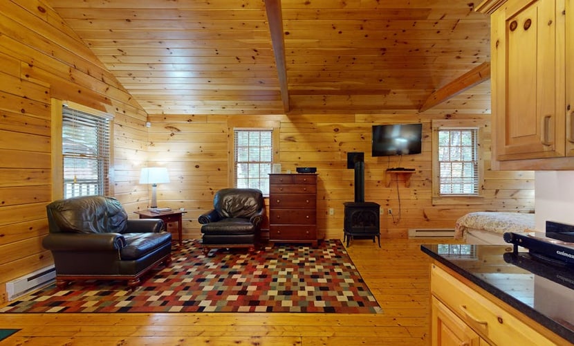 Idyllic dog-friendly studio cabin with AC, fireplace & WiFi
