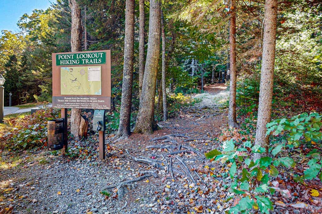 Robin Cabin 84