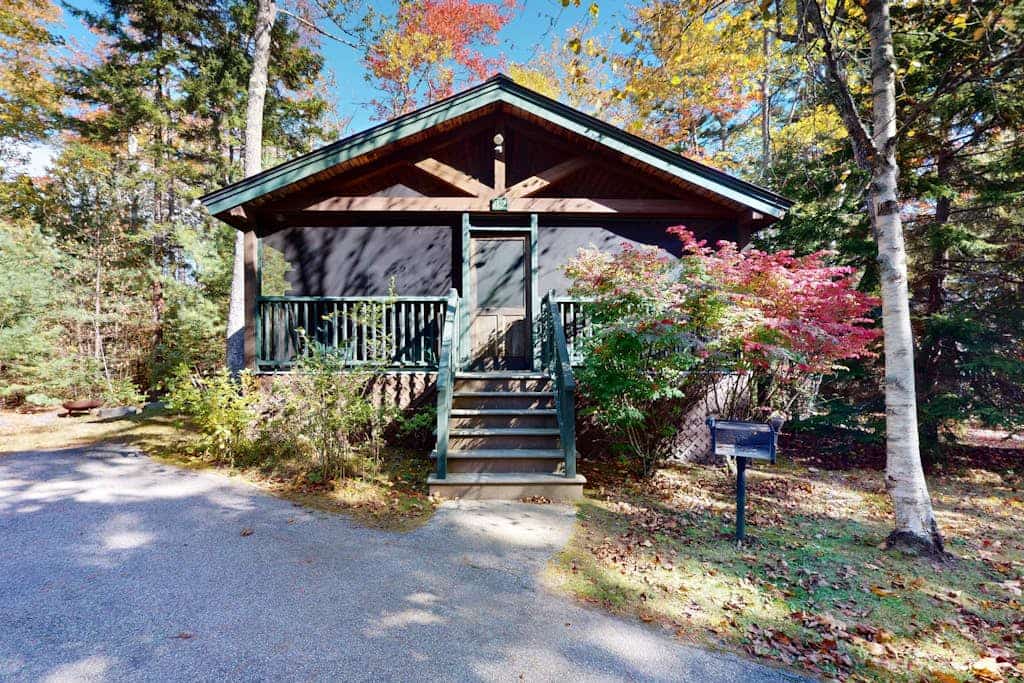 Escape to a dog-friendly cabin w/streaming, kitchen, fireplace & nature nearby