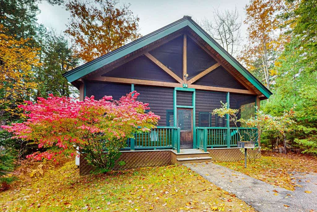 Deer Fawn Cabin, dog-friendly cabin w/full kitchen, fireplace & hiking