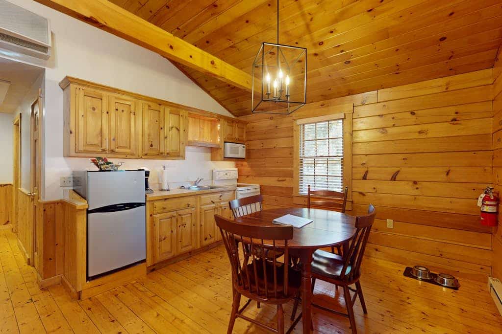 Serene two-bedroom dog-friendly cabin getaway with kitchen, fireplace & more