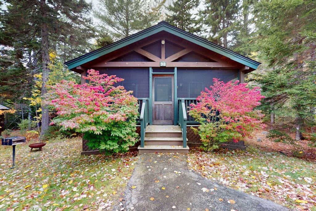 Comfortable dog-friendly cabin with fireplace & kitchenette near hiking trails