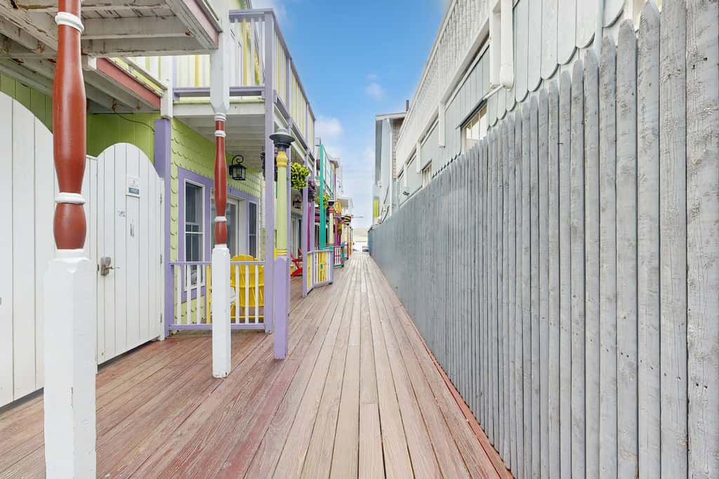 Cozy Downtown Studio - Walk to Ferry & Town