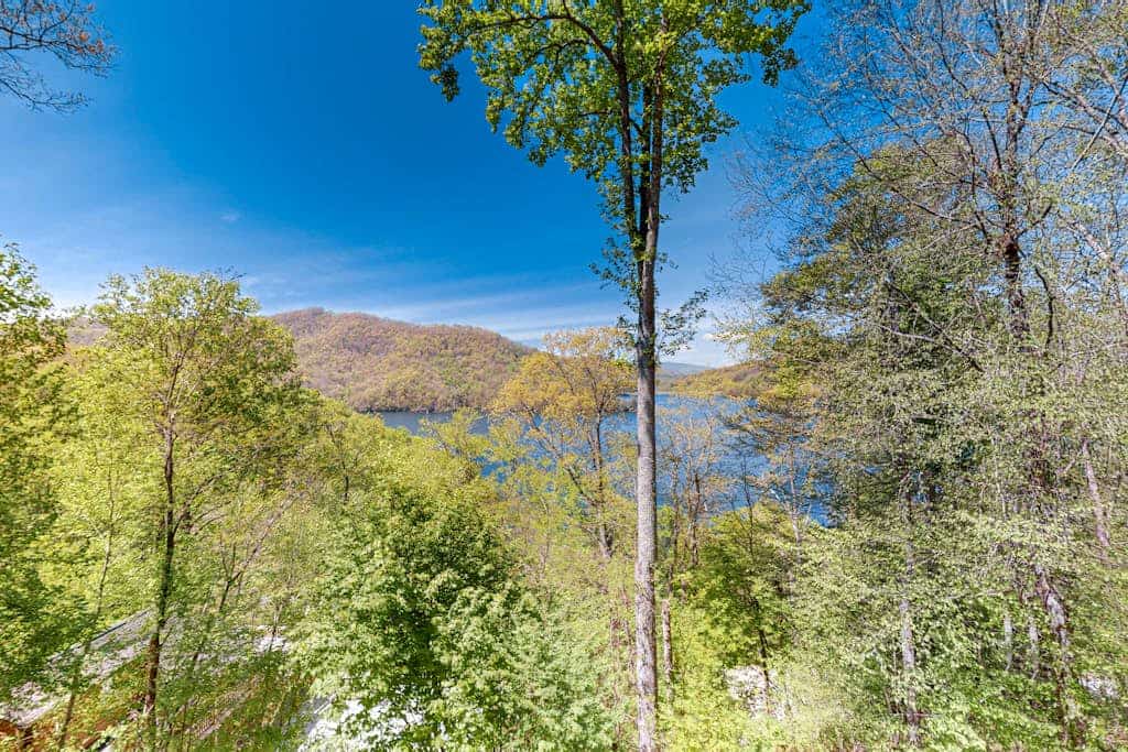 Lake & mountain view home with decks, & fireplaces - dog-friendly