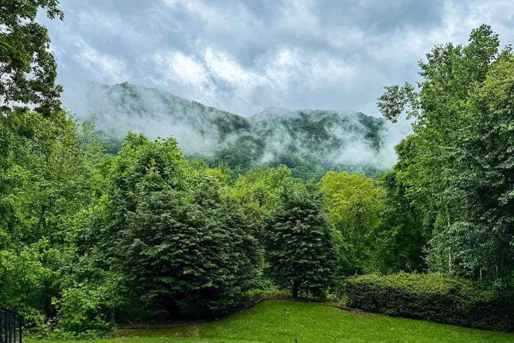 Perfect Mountain Getaway W/Gas Fireplace,Full Kitchen, and Wifi | Dog Friendly
