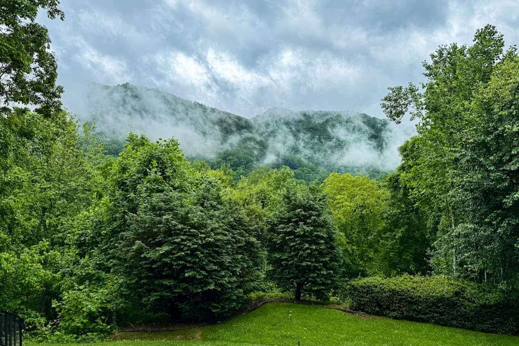 Perfect Mountain Getaway W/Gas Fireplace,Full Kitchen, and Wifi | Dog Friendly