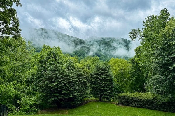Perfect Mountain Getaway W/Gas Fireplace,Full Kitchen, and Wifi | Dog Friendly