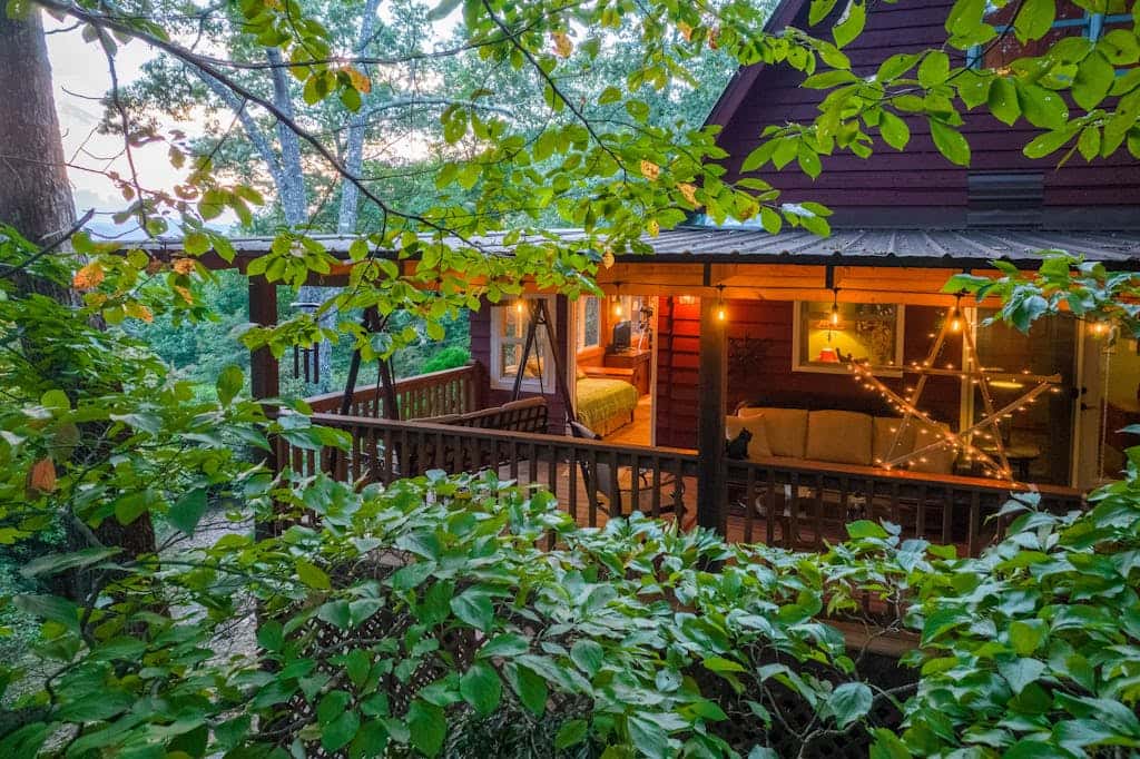 The Treehouse