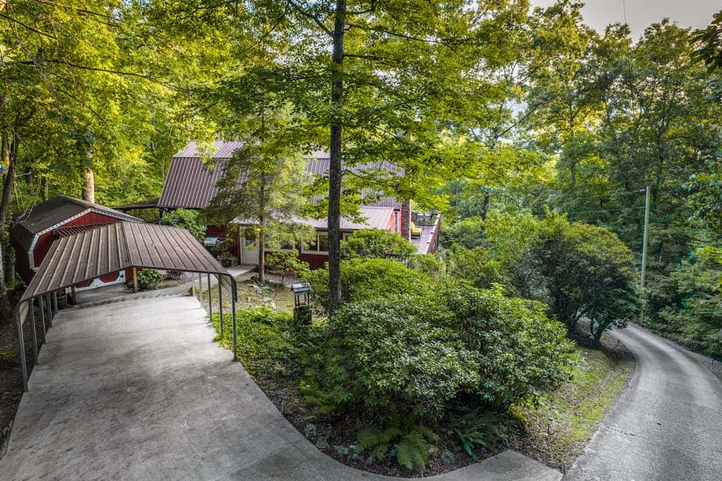 The Treehouse
