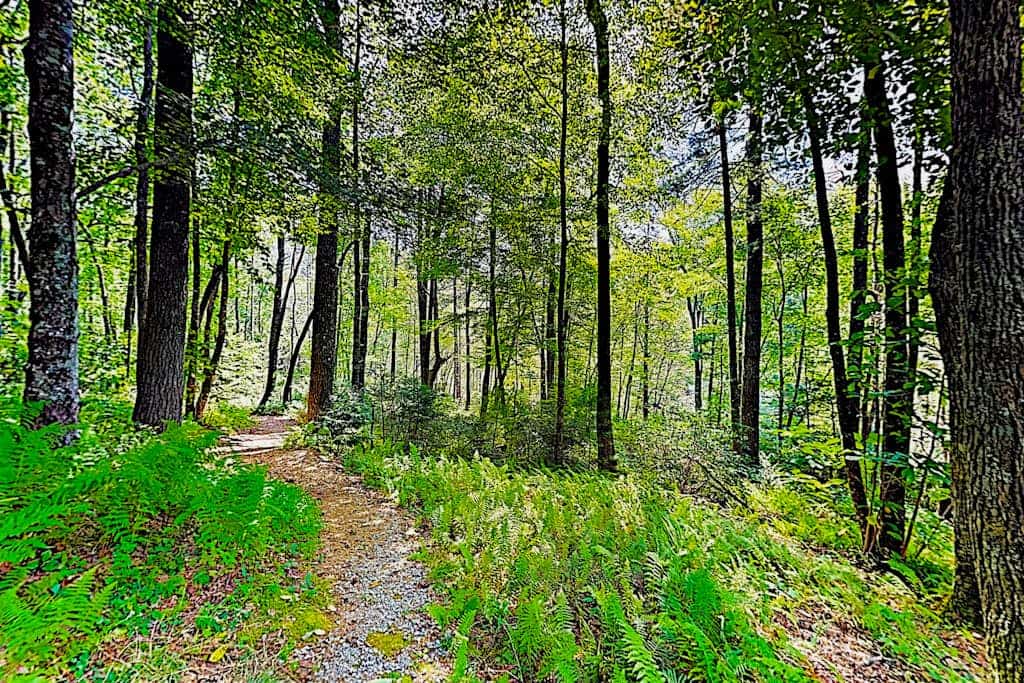 Classic cabin on Hogback Lake with private dock, game room, firepit, & fireplace