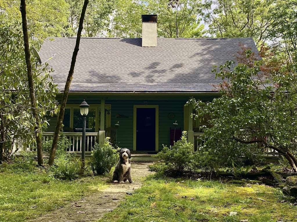 Dog-friendly cabin with mountain views, wood-burning fireplace, and WiFi