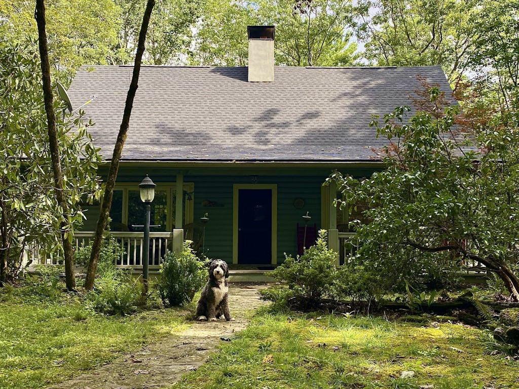 Laurel Cabin