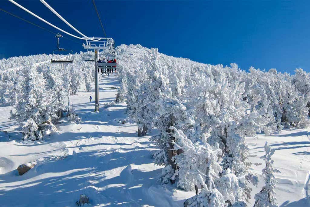 Eagle Run 206