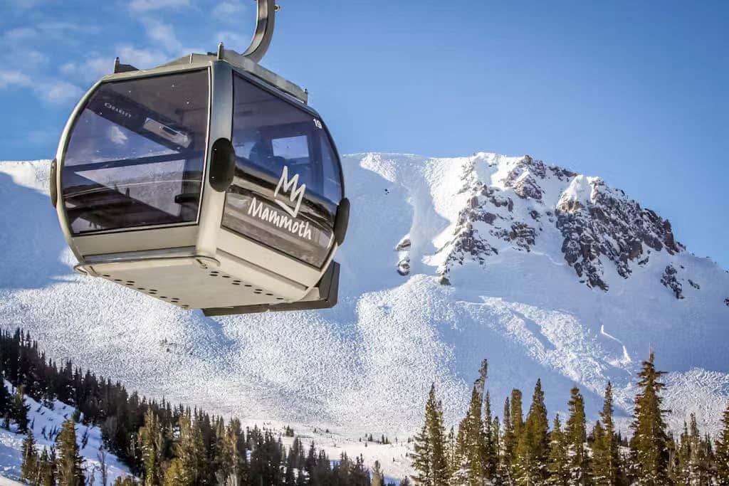 Mammoth Green 101