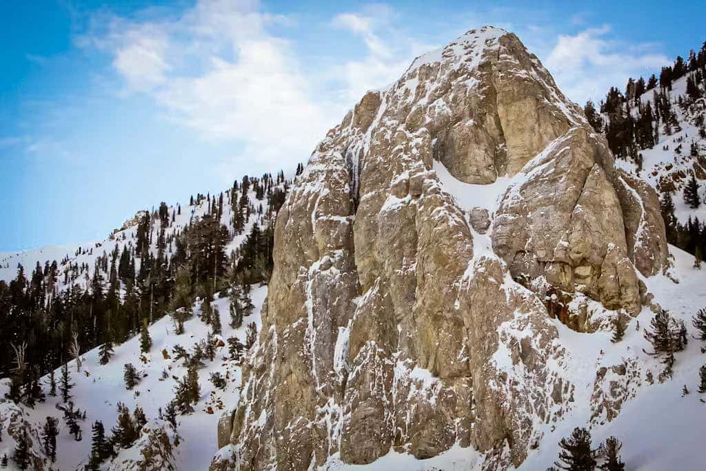 Mammoth Green 101
