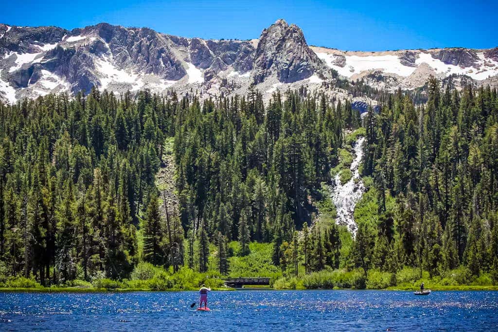 Mammoth Green 101
