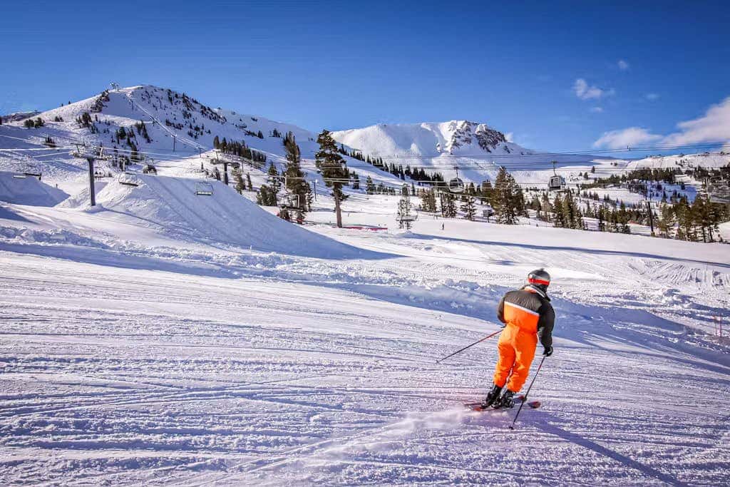 Mammoth Green 101