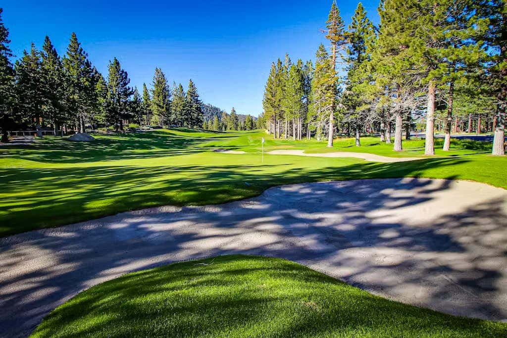 Mammoth Green 101