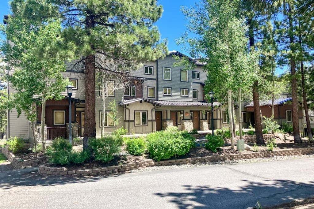 Mammoth Green 219