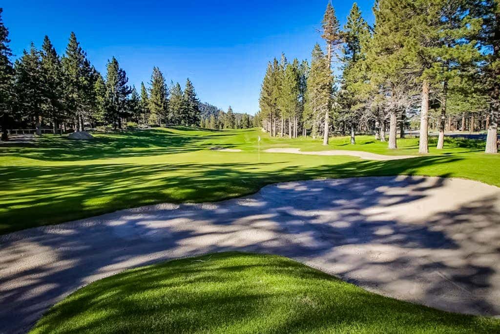Mammoth Green 116