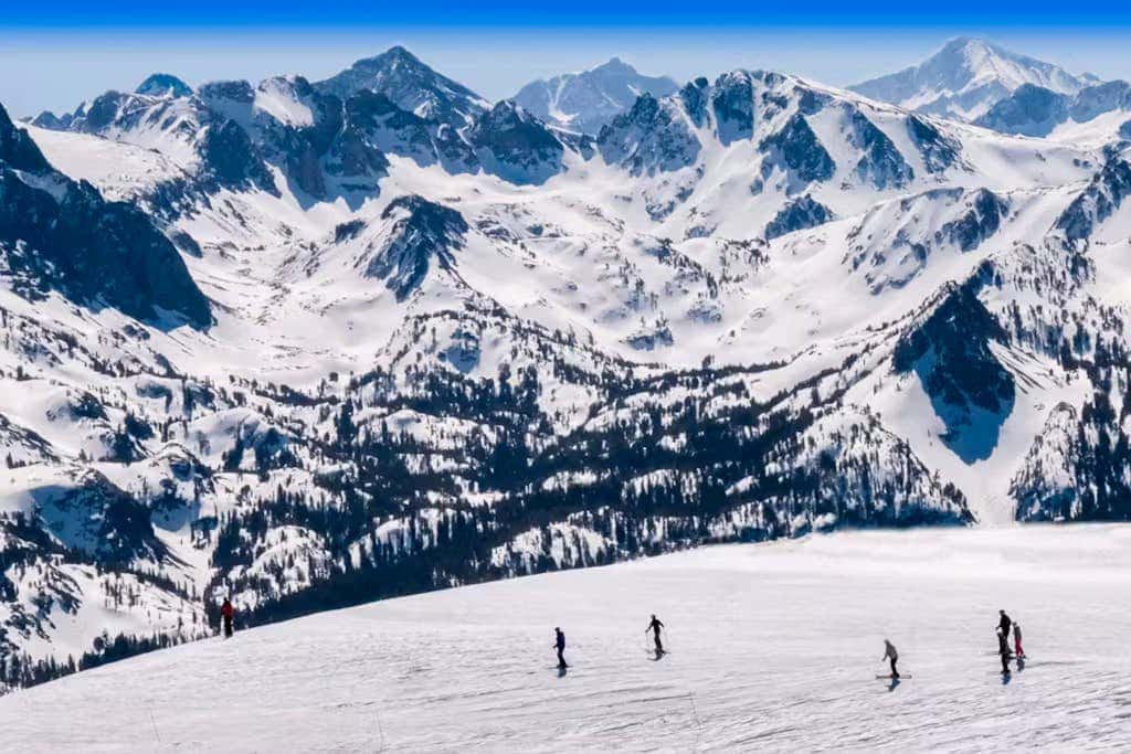La Vista Blanc 19