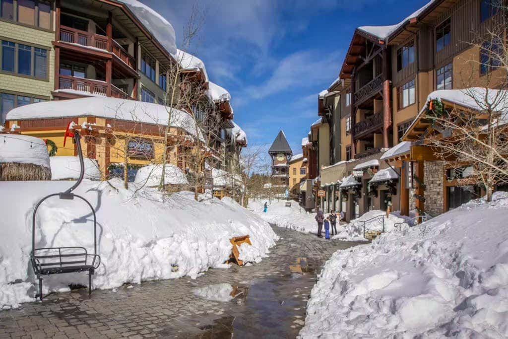 La Vista Blanc 19