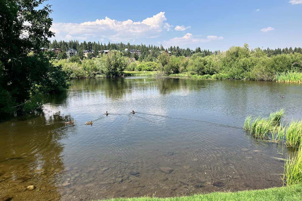 Snowcreek 607