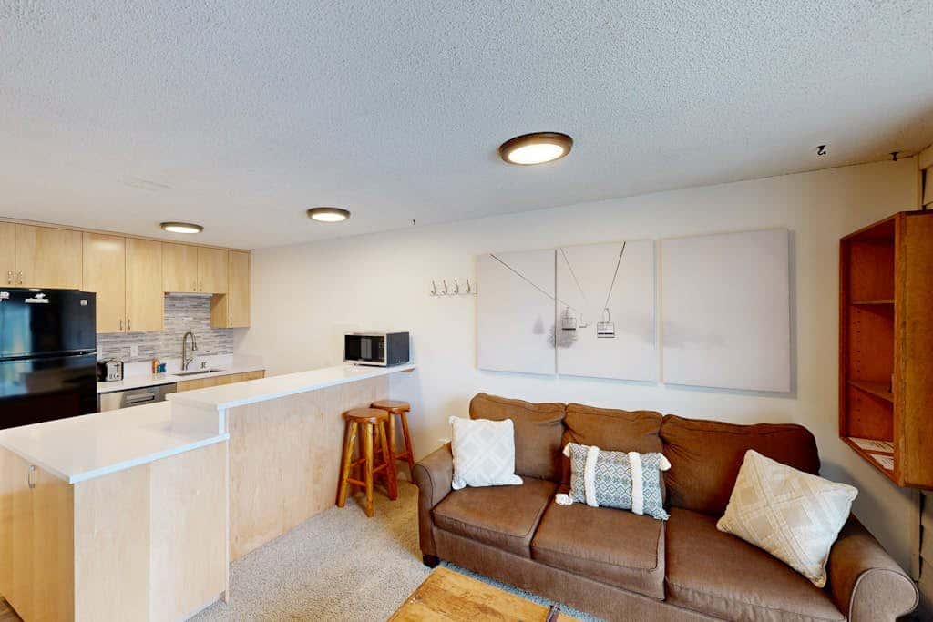 Ski Slope Condo