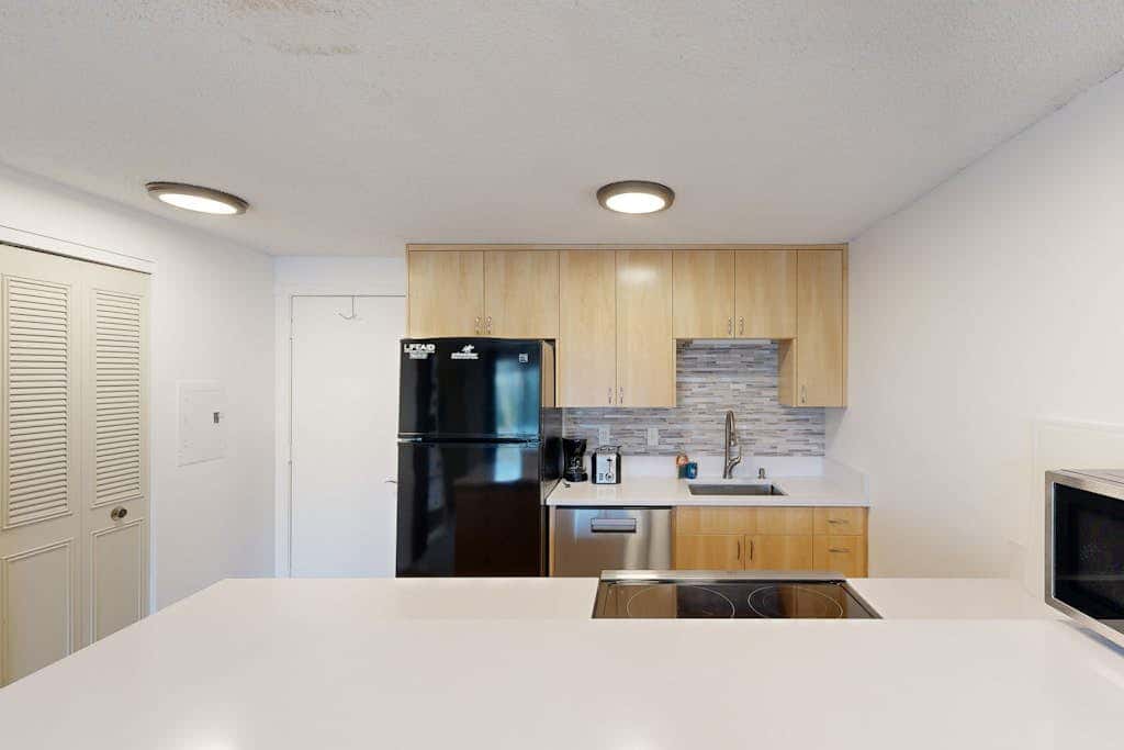 Ski Slope Condo