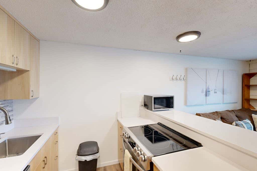 Ski Slope Condo