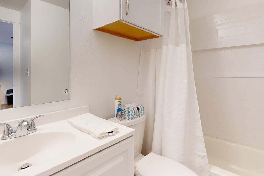 Ski Slope Condo
