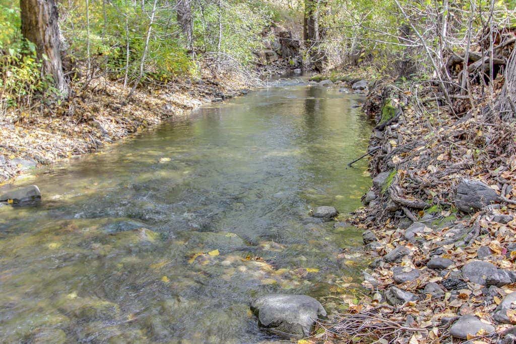 Bridgepoint Condo on Trail Creek