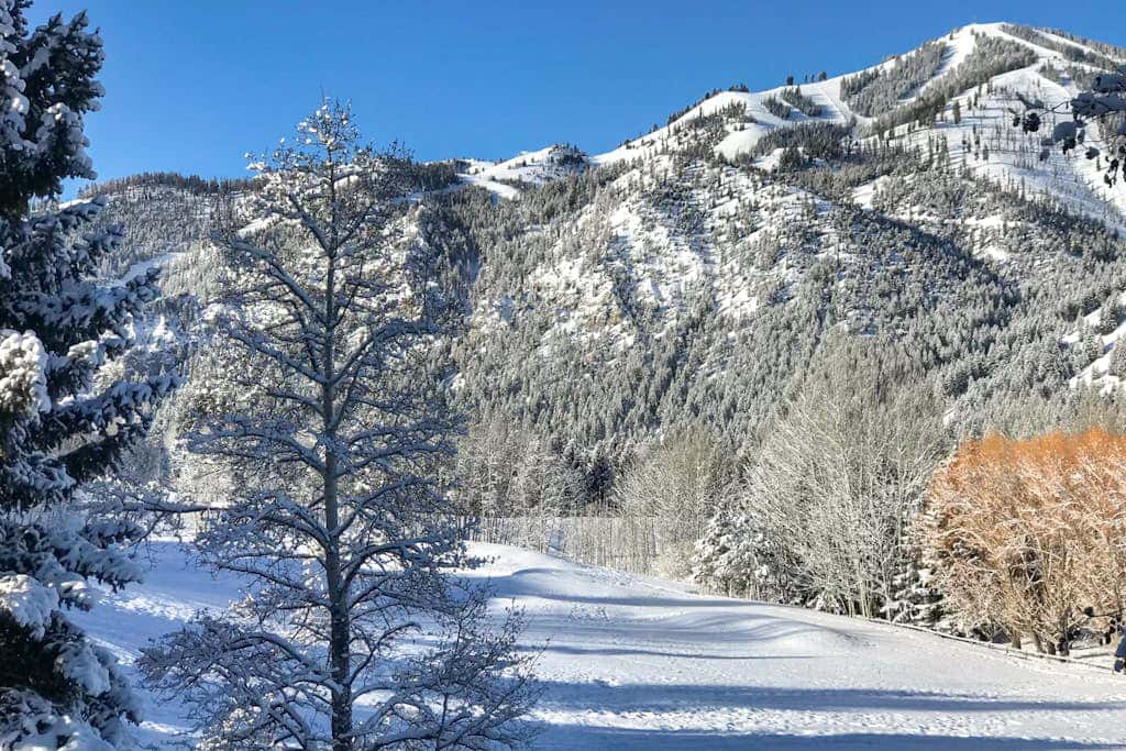 Ketchum Bliss