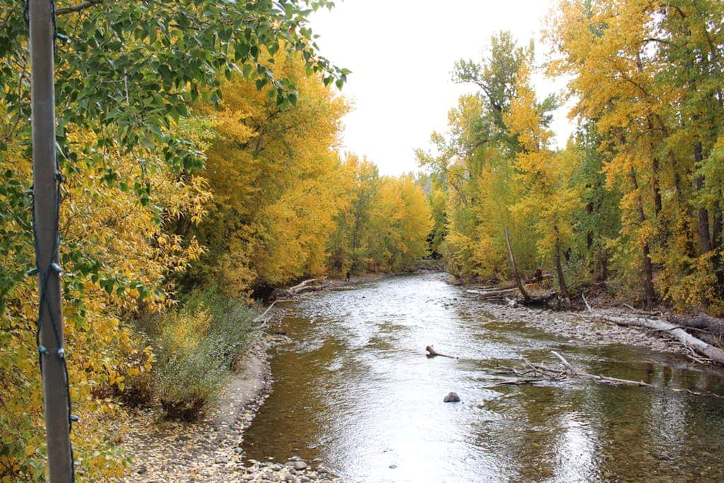 Warm Springs Wonder