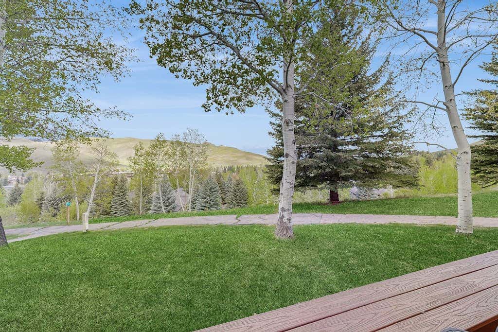 Bluff 4018
