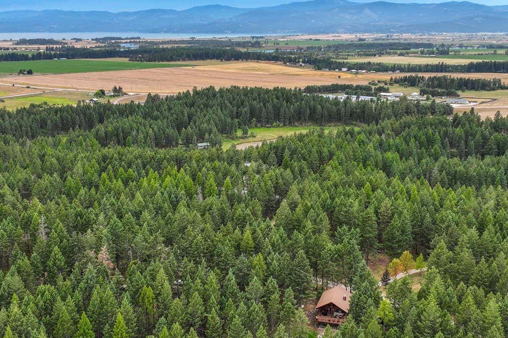 Log Cabin Lookout
