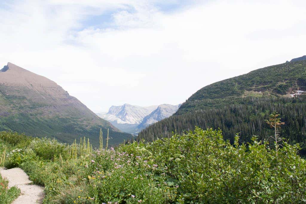 Saddle Ridge B2