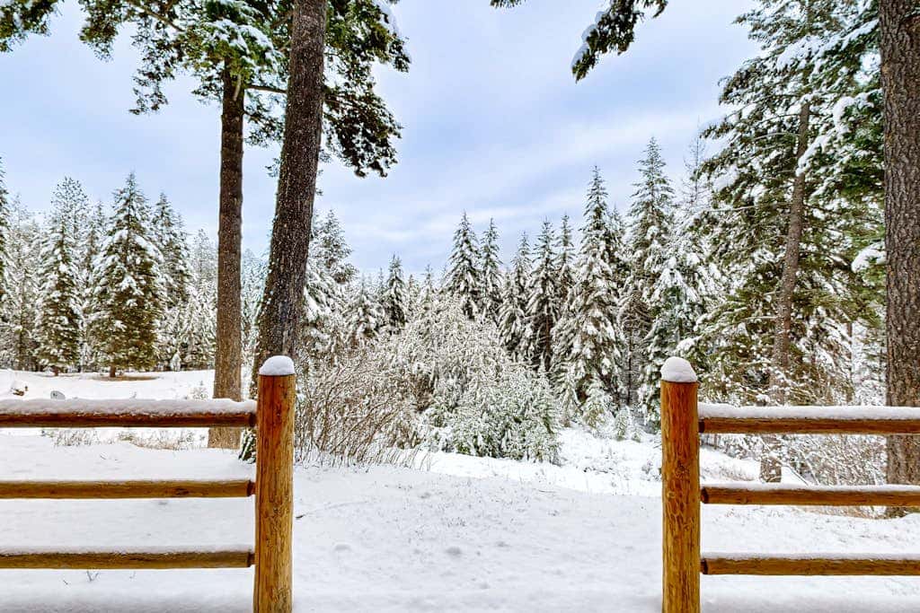 Blacktail Cabin