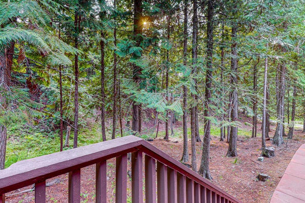 Peaceful Pine Retreat