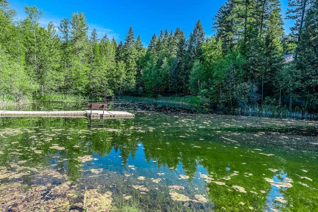 Peaceful Pine Retreat