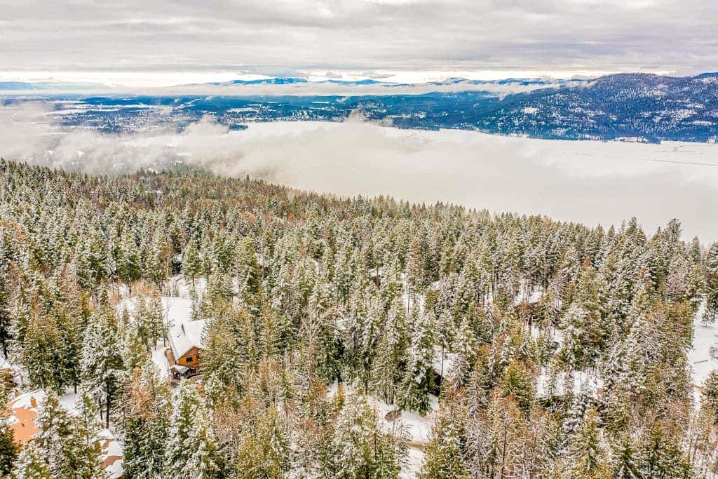 Whitefish Escape