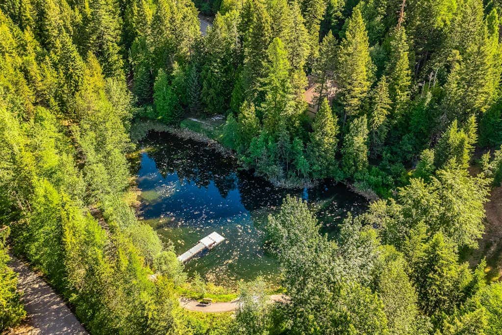 Whitefish Escape