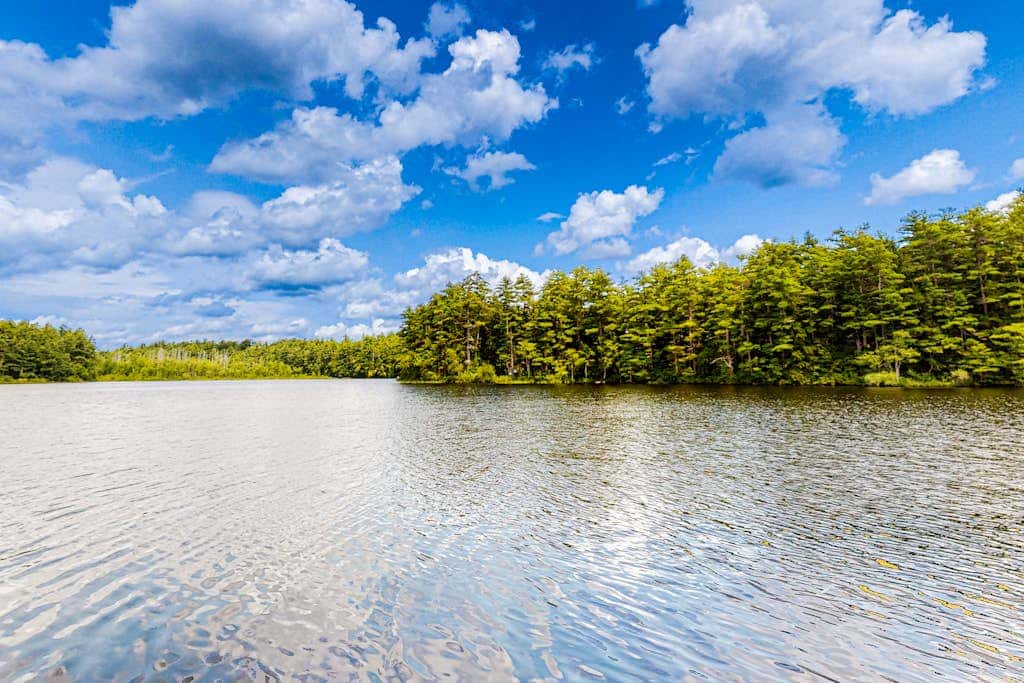 The Three Cornered Pond Retreat