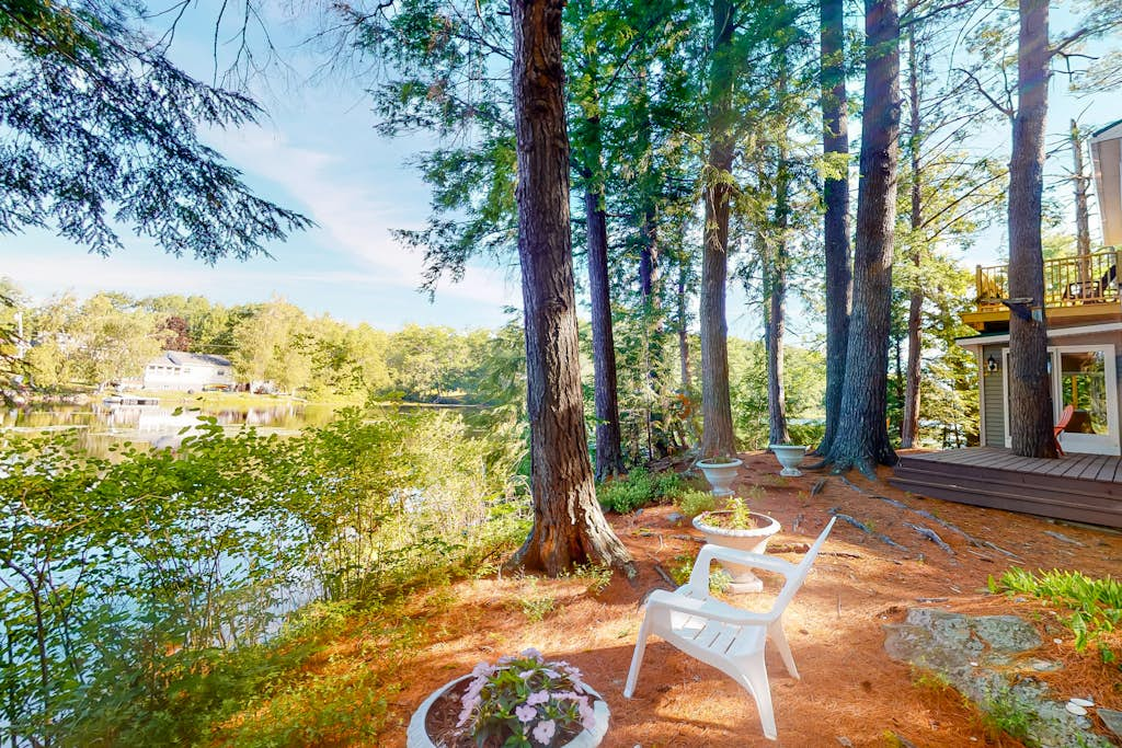 Lakefront Pines